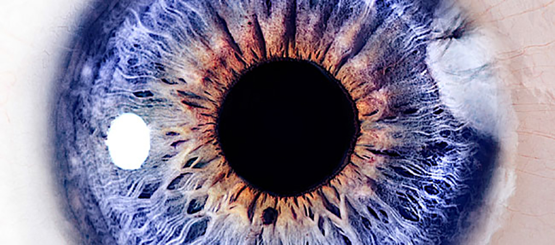 廣告設(shè)計(jì)公司品牌形象